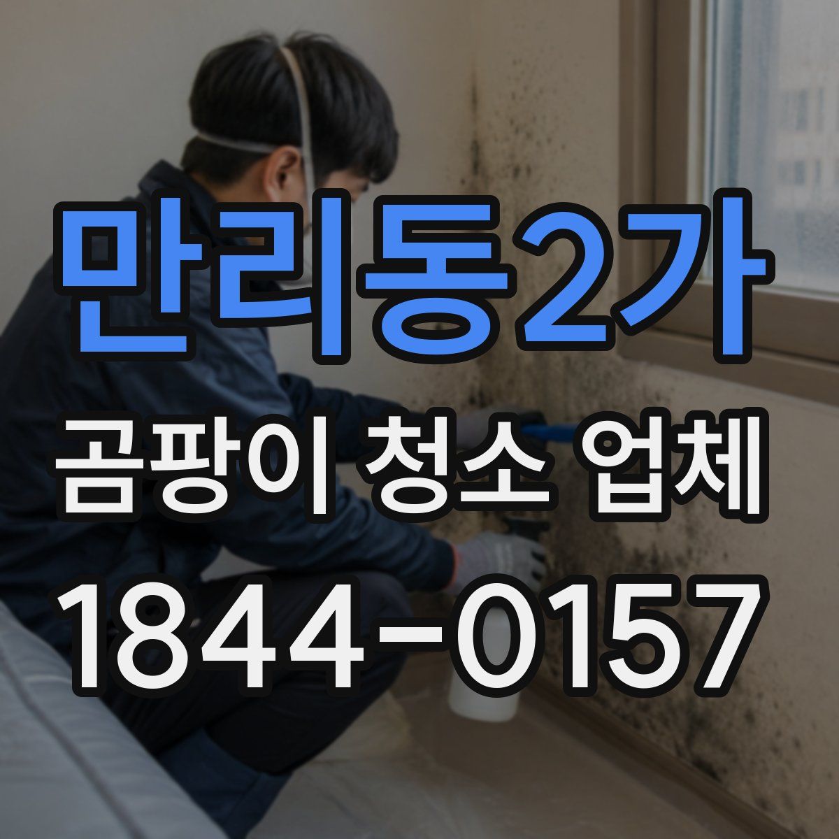 만리동2가 곰팡이 청소 업체