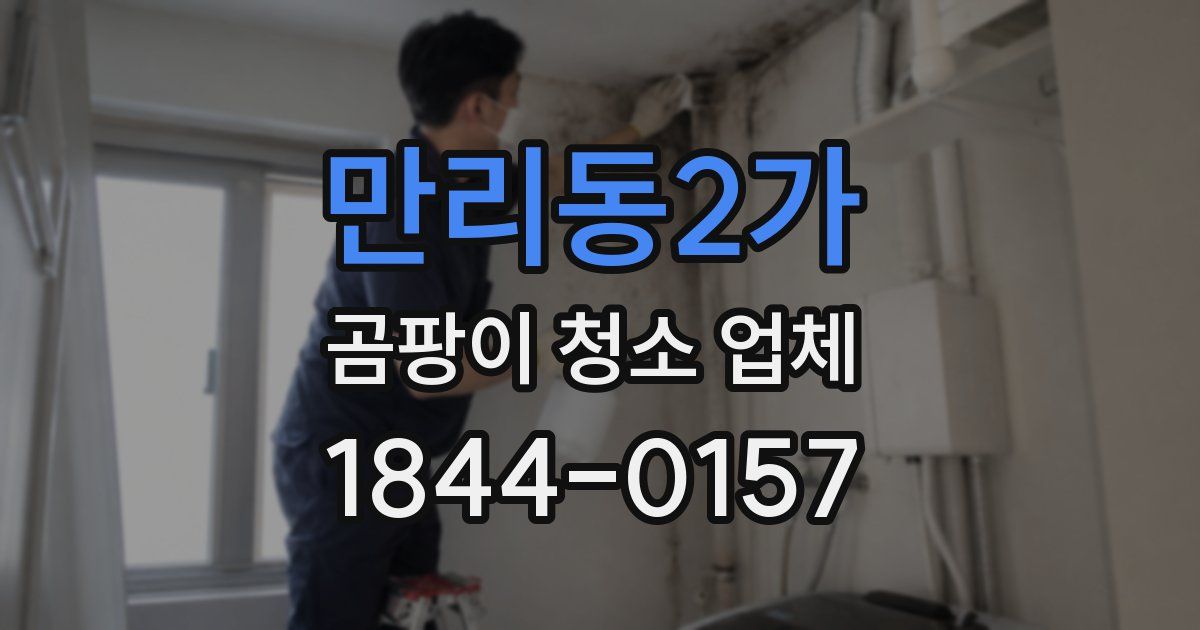만리동2가 곰팡이 청소 업체