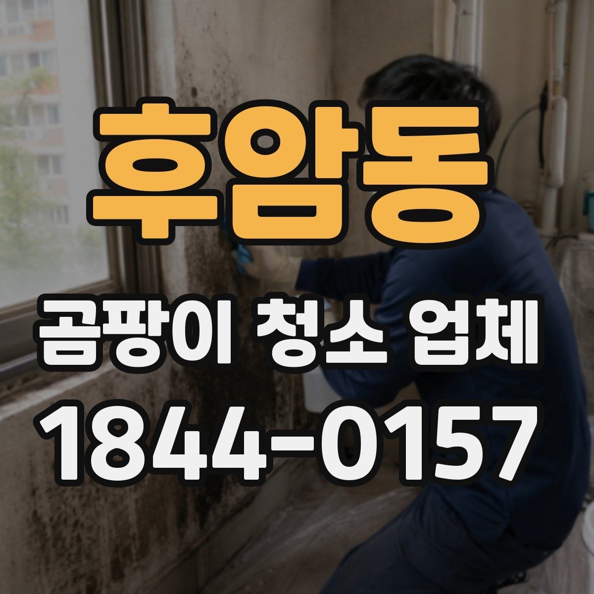 후암동 곰팡이 청소 업체 선택 전 확인할 기준