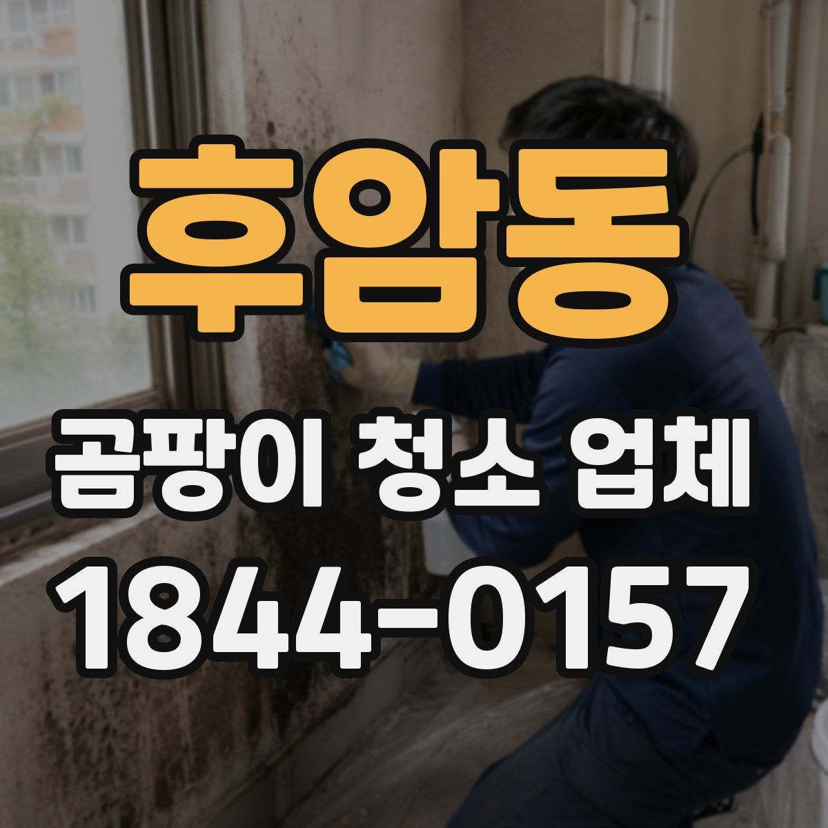 후암동 곰팡이 청소 업체