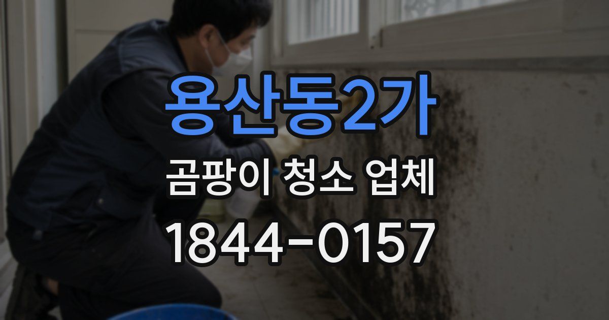 용산동2가 곰팡이 청소 업체