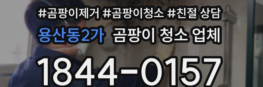 용산동2가 곰팡이 청소 업체