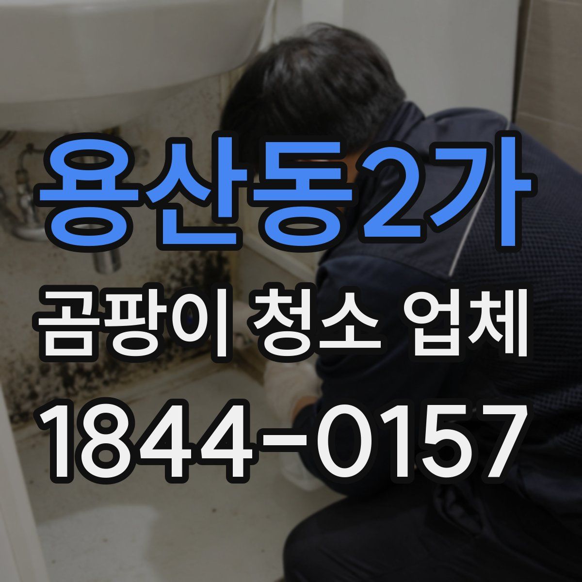 용산동2가 곰팡이 청소 업체