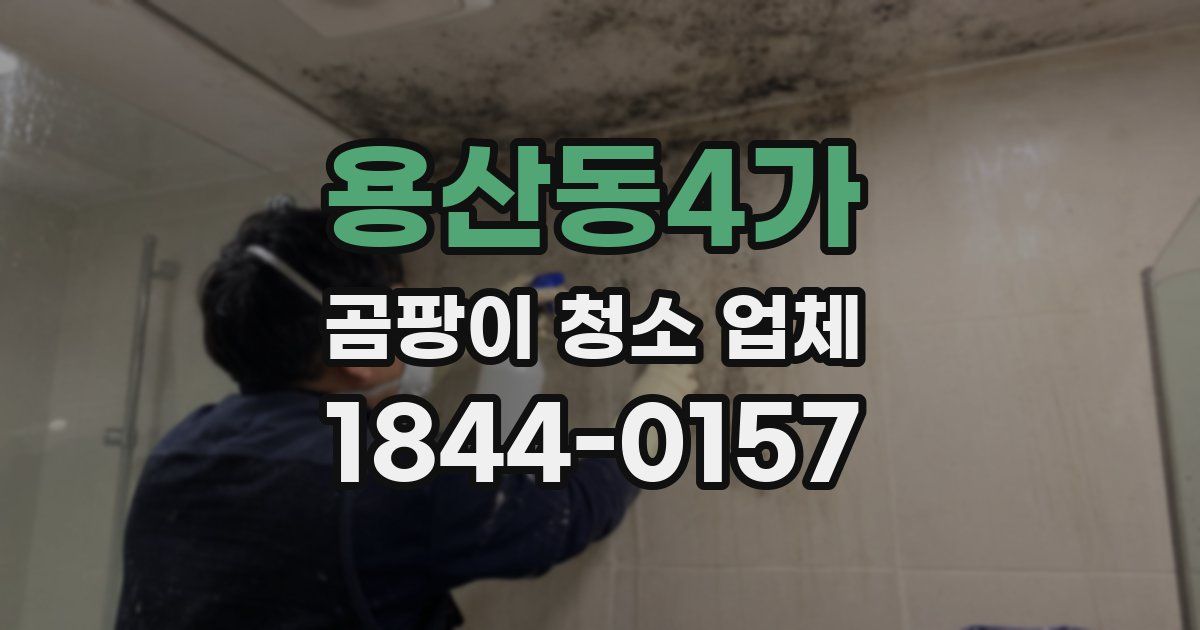 용산동4가 곰팡이 청소 업체