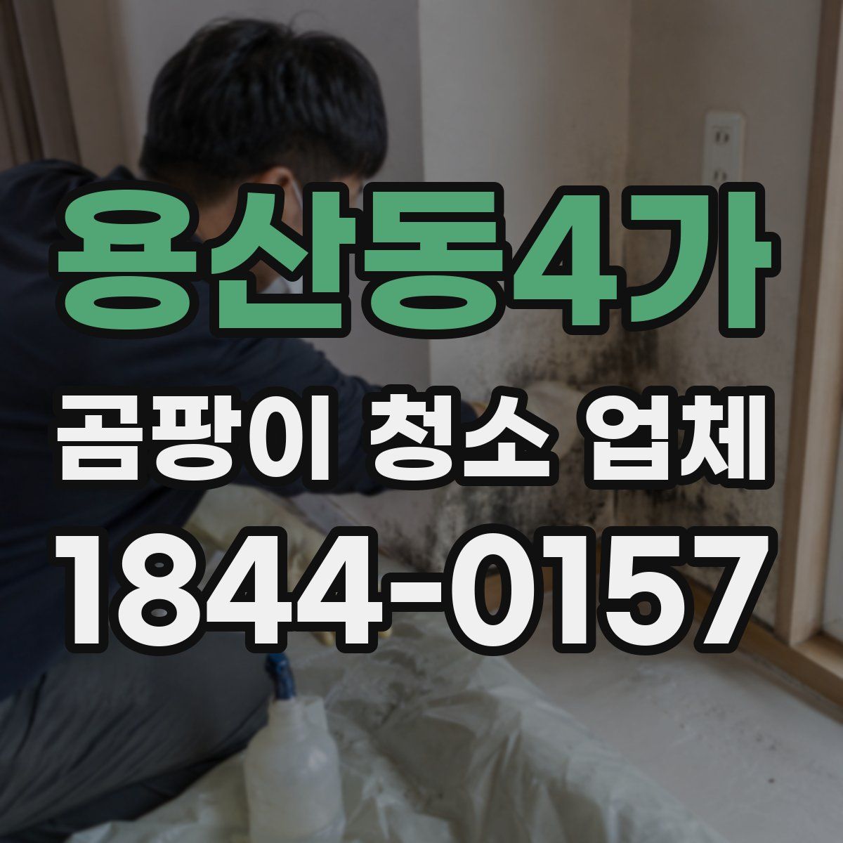 용산동4가 곰팡이 청소 업체