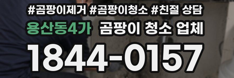 용산동4가 곰팡이 청소 업체