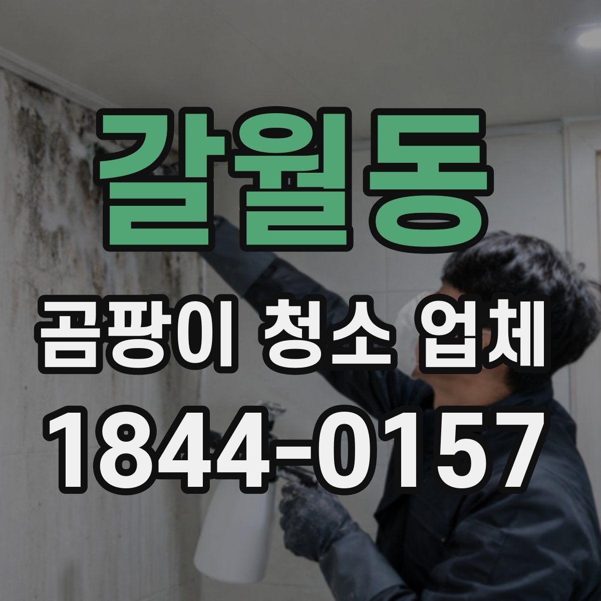 갈월동 곰팡이 청소 업체