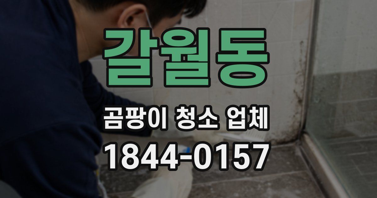 갈월동 곰팡이 청소 업체
