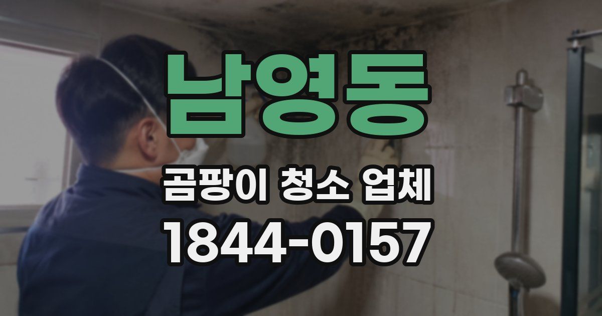 남영동 곰팡이 청소 업체