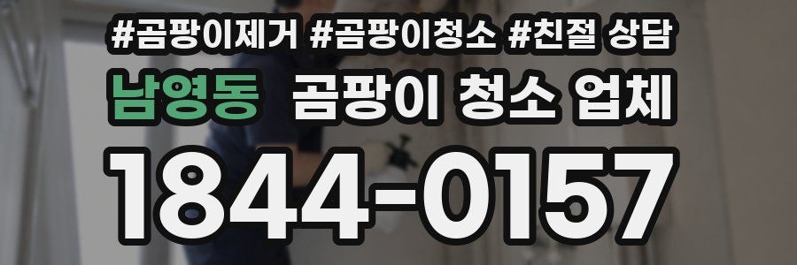 남영동 곰팡이 청소 업체