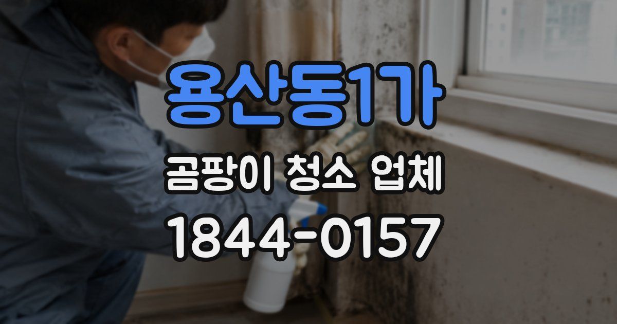 용산동1가 곰팡이 청소 업체