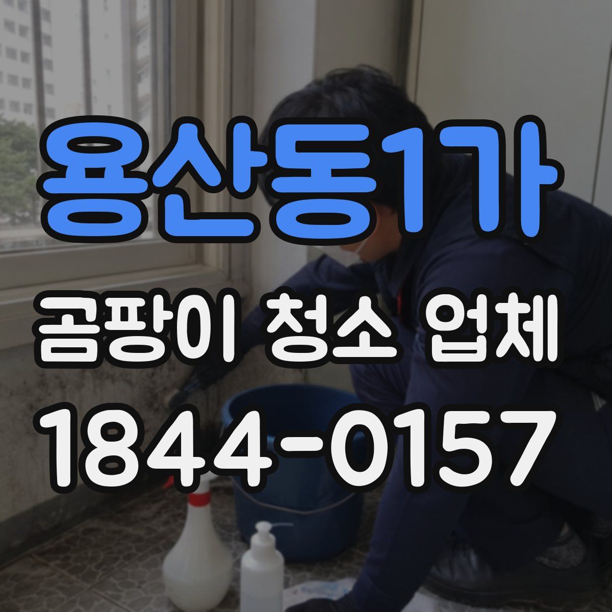 용산동1가 곰팡이 청소 업체