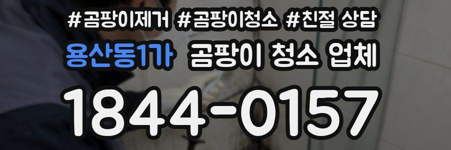 용산동1가 곰팡이 청소 업체