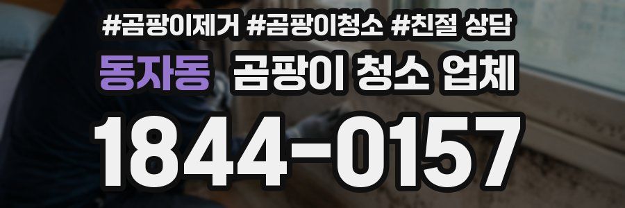 동자동 곰팡이 청소 업체