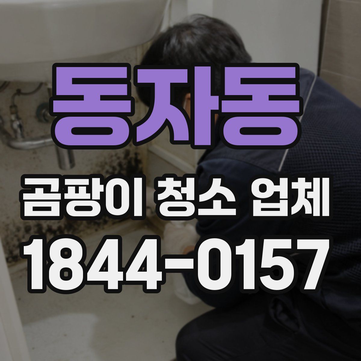 동자동 곰팡이 청소 업체