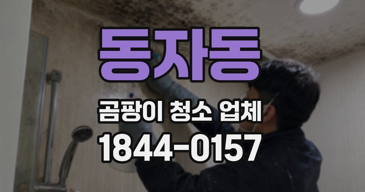 동자동 곰팡이 청소 업체