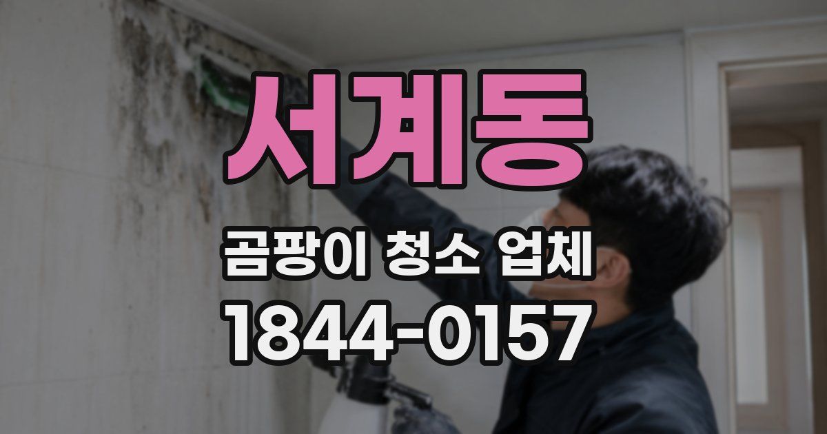 서계동 곰팡이 청소 업체