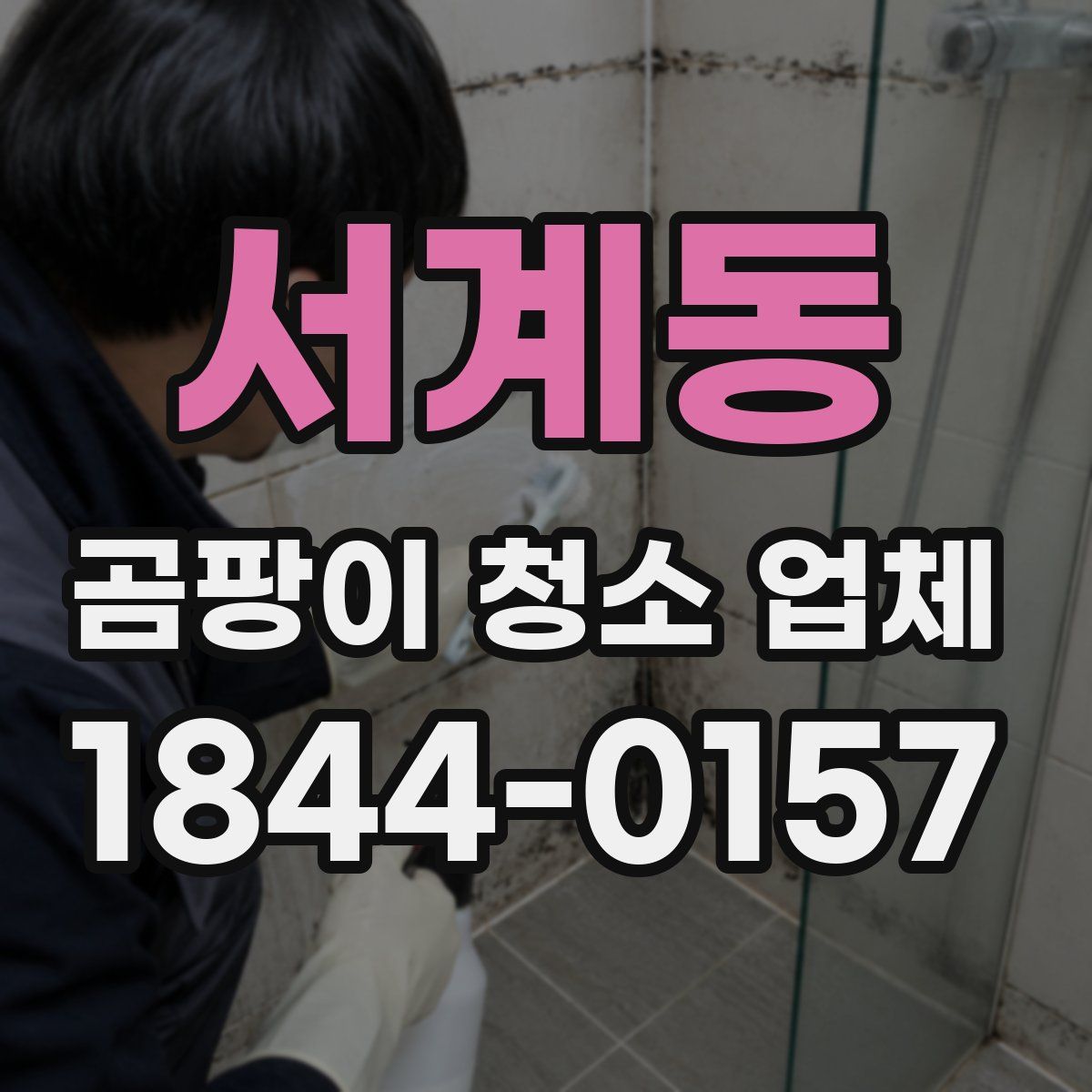 서계동 곰팡이 청소 업체