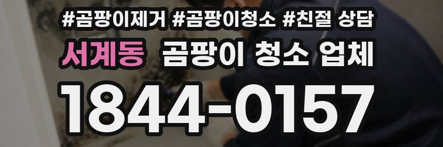 서계동 곰팡이 청소 업체