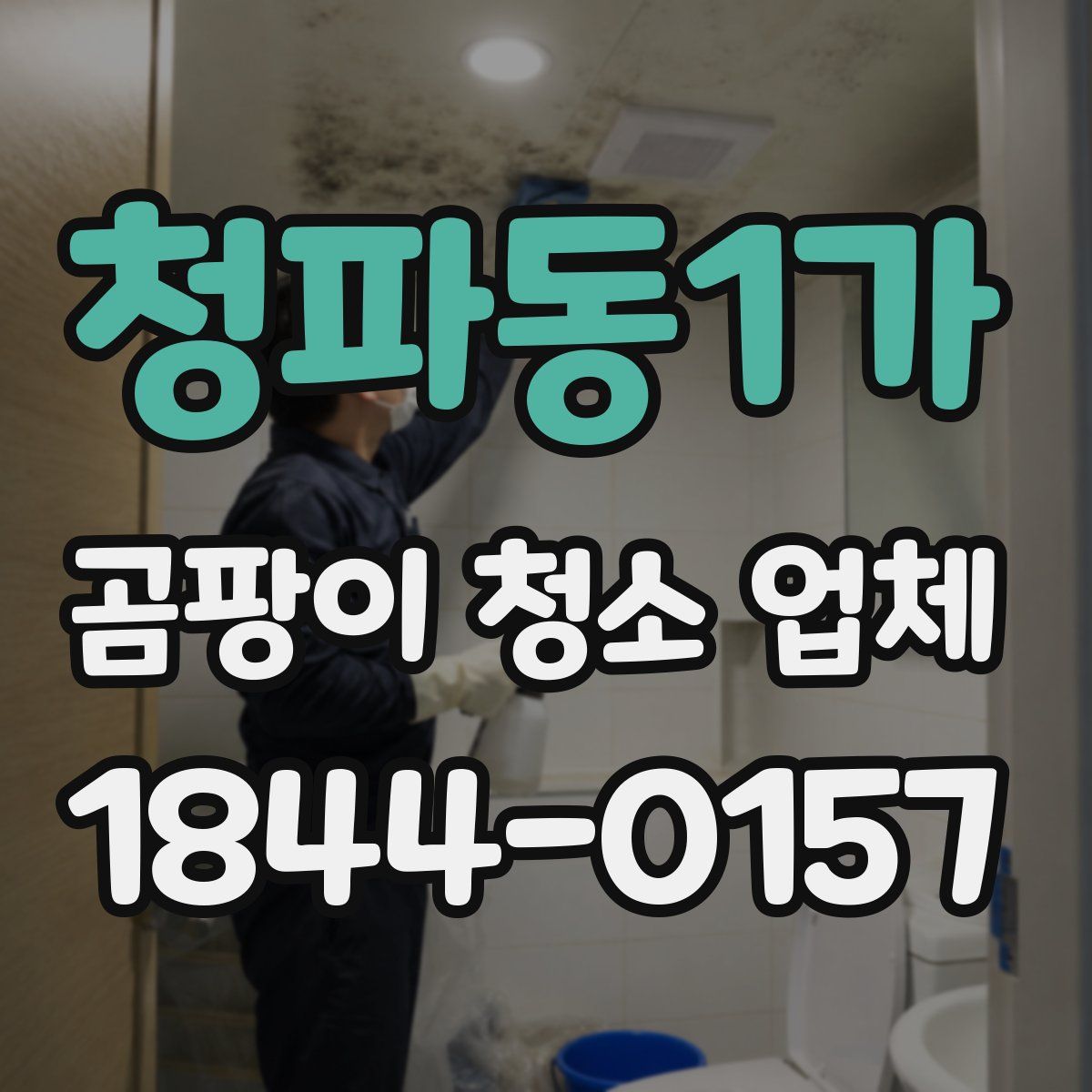 청파동1가 곰팡이 청소 업체