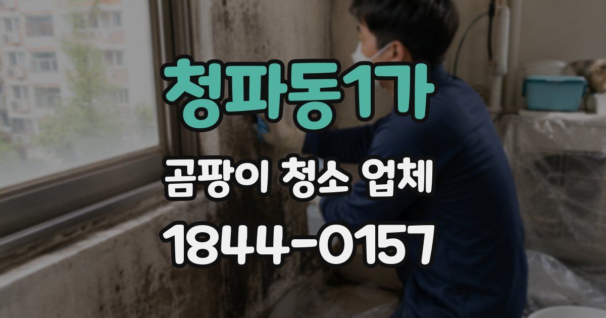 청파동1가 곰팡이 청소 업체