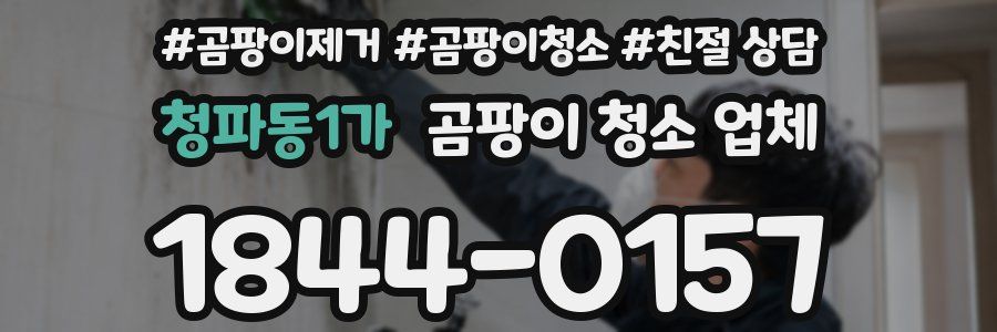 청파동1가 곰팡이 청소 업체