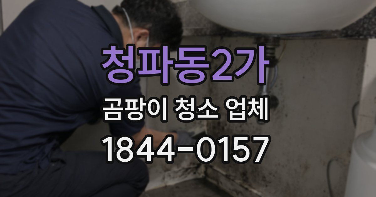 청파동2가 곰팡이 청소 업체