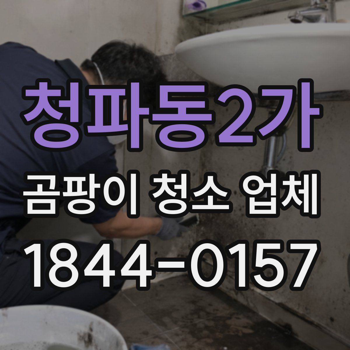 청파동2가 곰팡이 청소 업체
