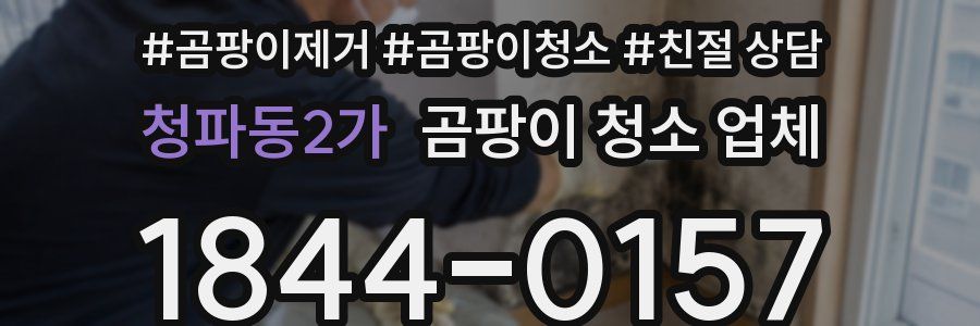 청파동2가 곰팡이 청소 업체
