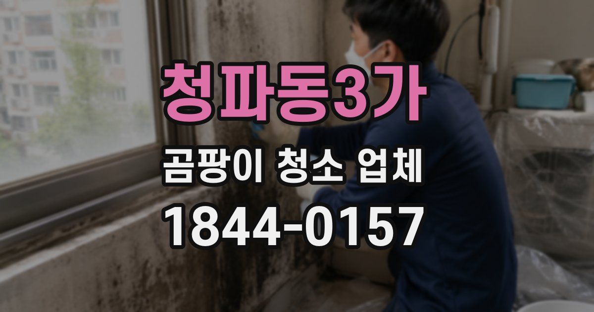 청파동3가 곰팡이 청소 업체