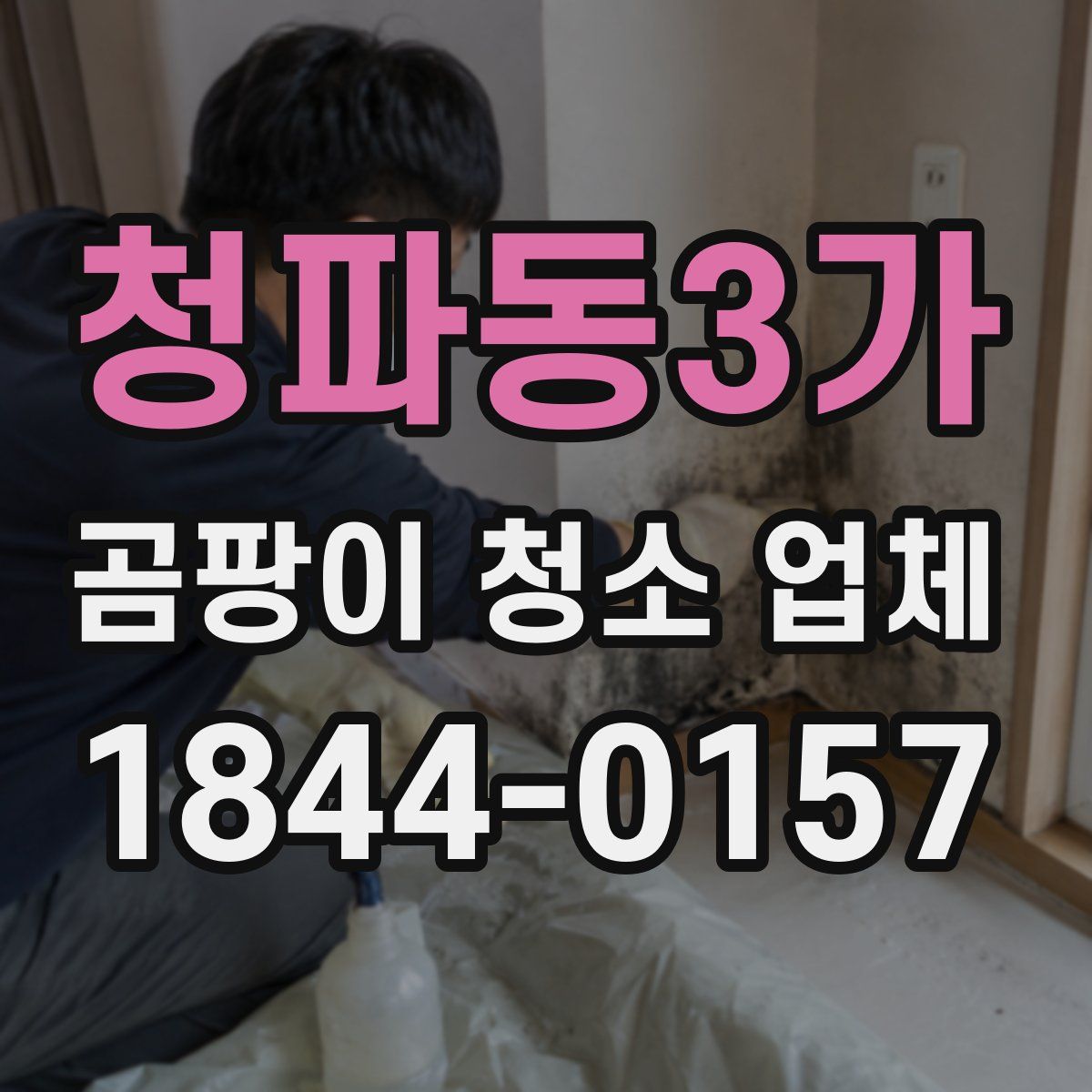 청파동3가 곰팡이 청소 업체