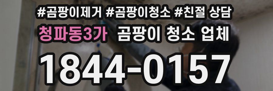 청파동3가 곰팡이 청소 업체