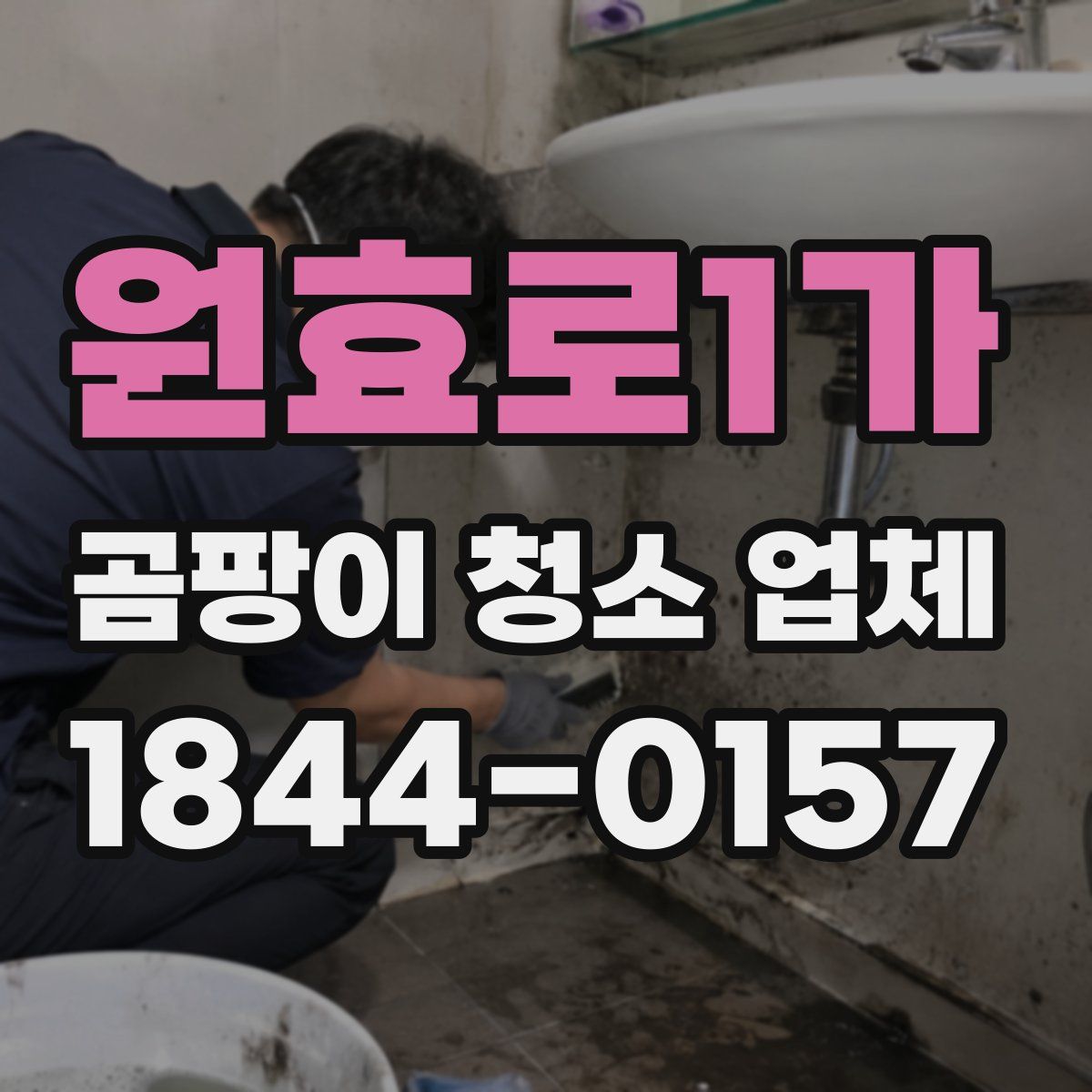 원효로1가 곰팡이 청소 업체