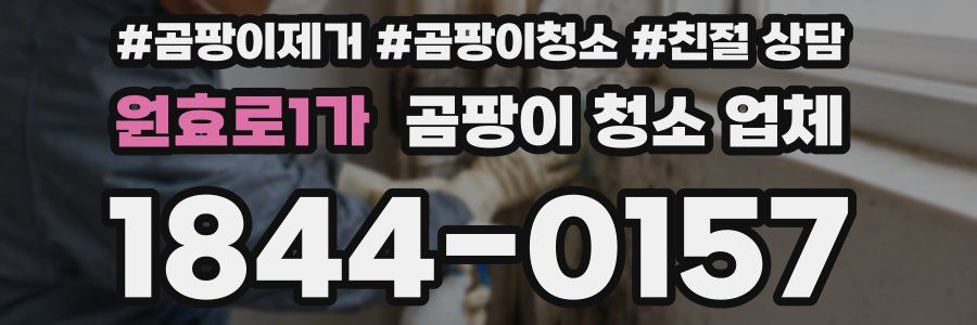원효로1가 곰팡이 청소 업체