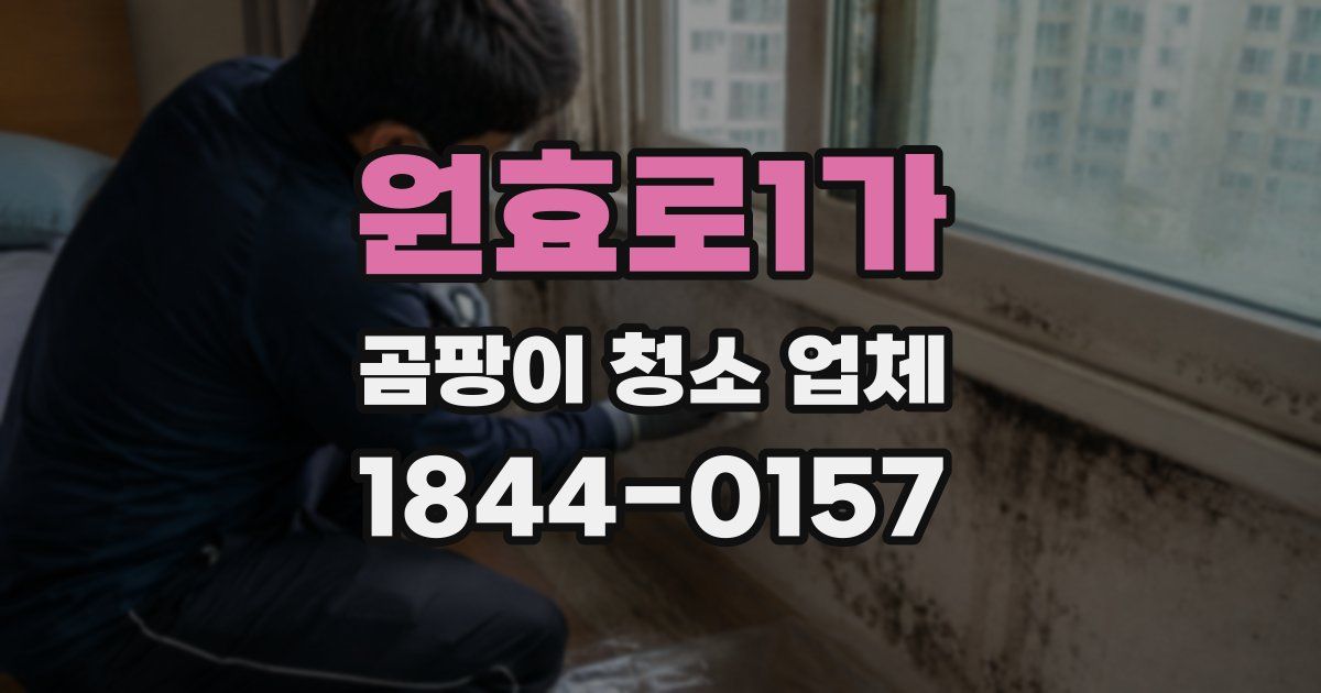 원효로1가 곰팡이 청소 업체