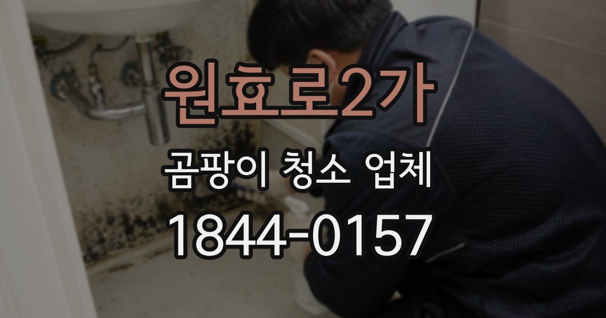 원효로2가 곰팡이 청소 업체