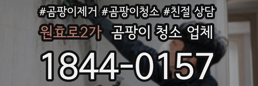 원효로2가 곰팡이 청소 업체