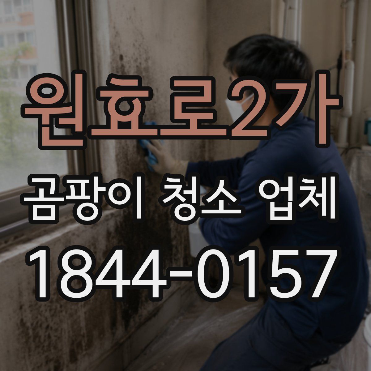원효로2가 곰팡이 청소 업체