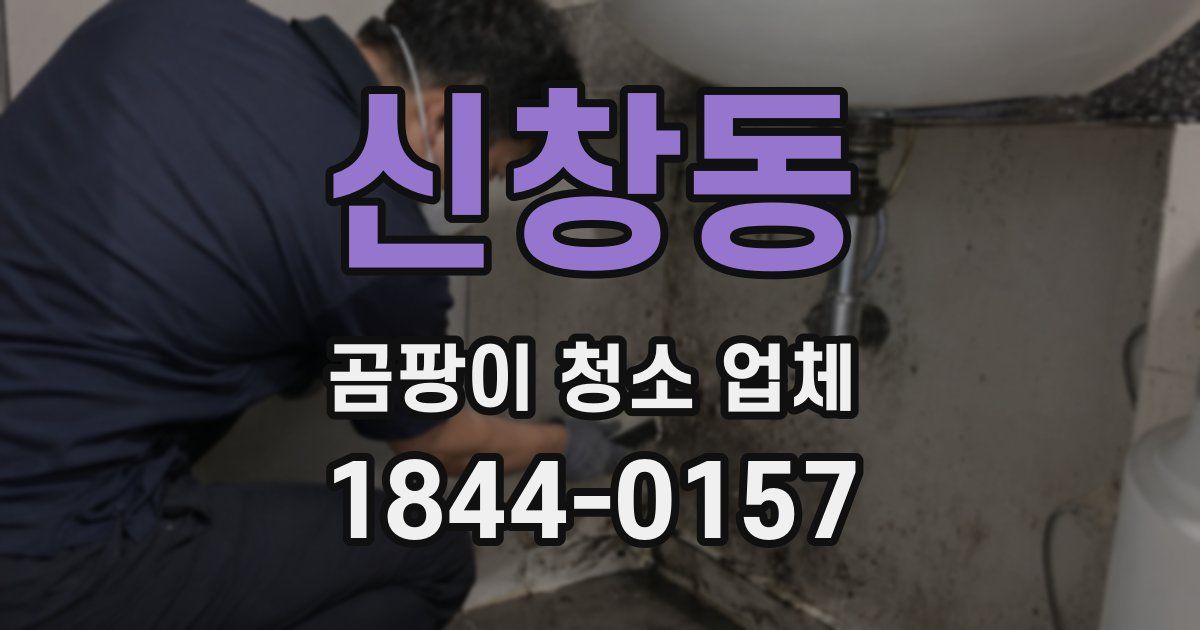 신창동 곰팡이 청소 업체