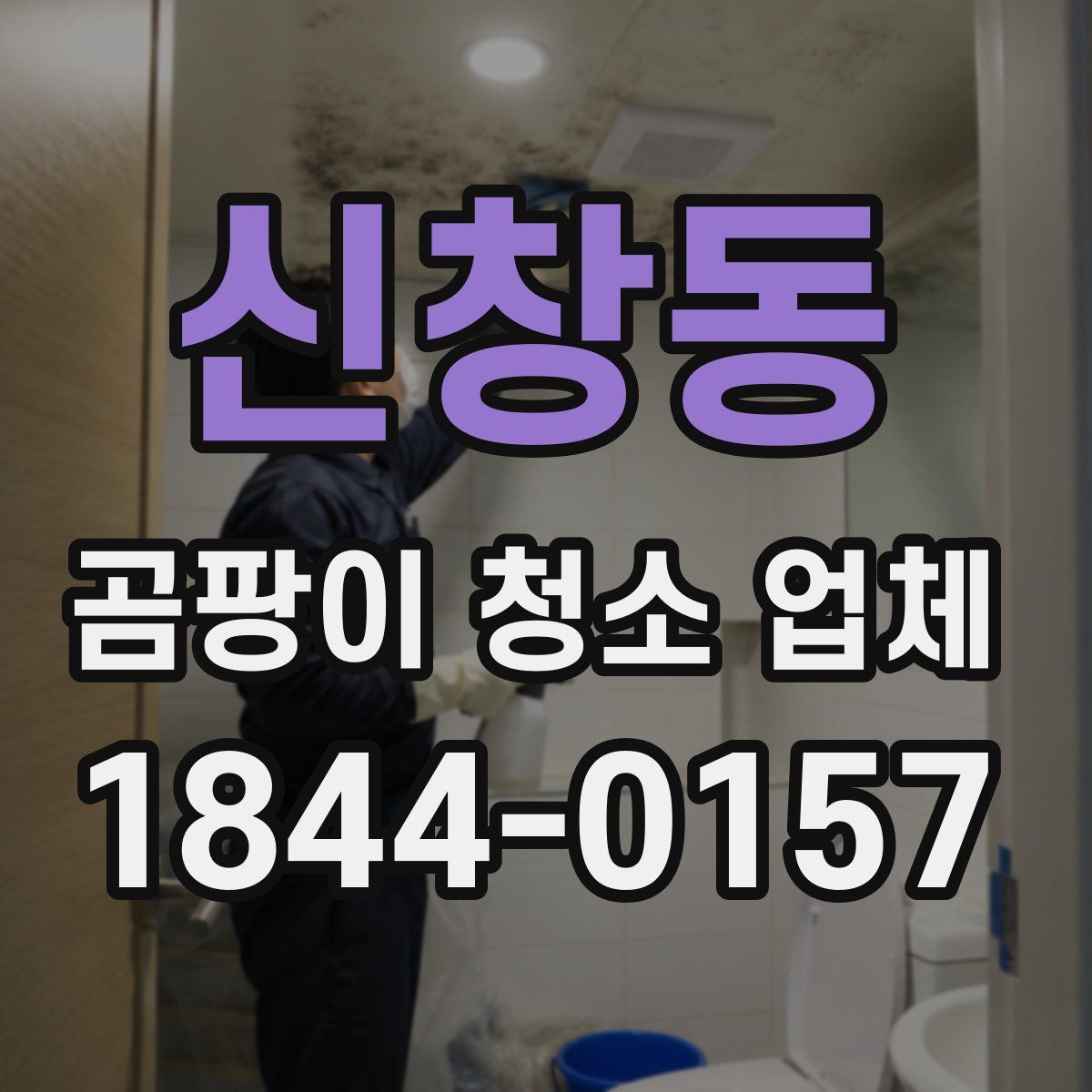 신창동 곰팡이 청소 업체