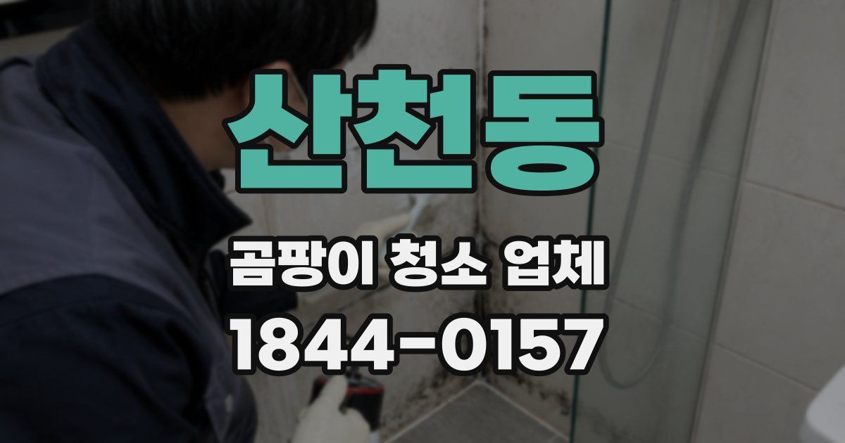 산천동 곰팡이 청소 업체