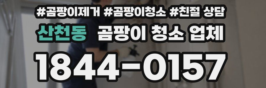 산천동 곰팡이 청소 업체