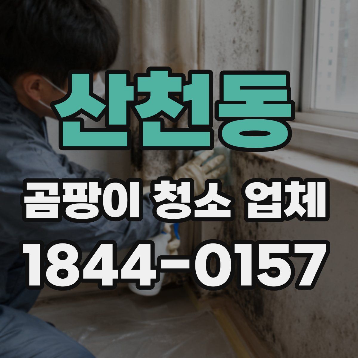 산천동 곰팡이 청소 업체