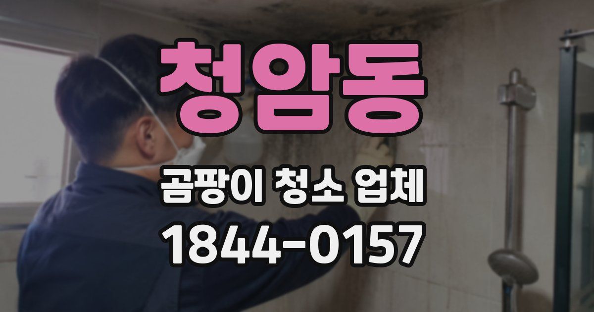 청암동 곰팡이 청소 업체