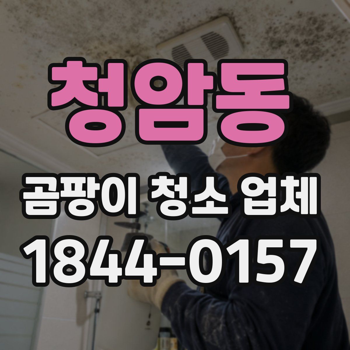 청암동 곰팡이 청소 업체