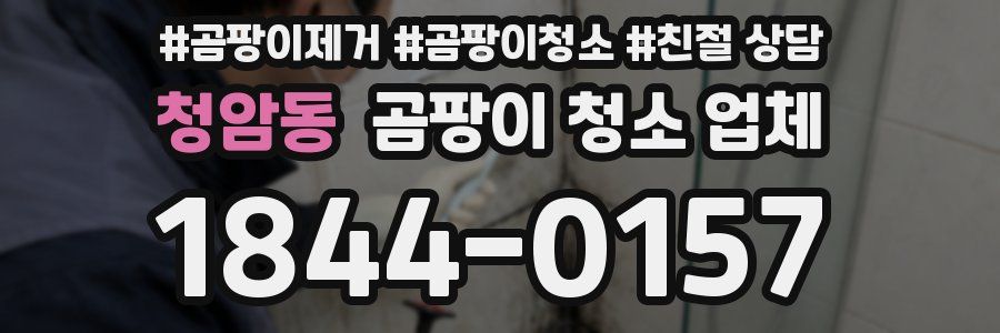 청암동 곰팡이 청소 업체
