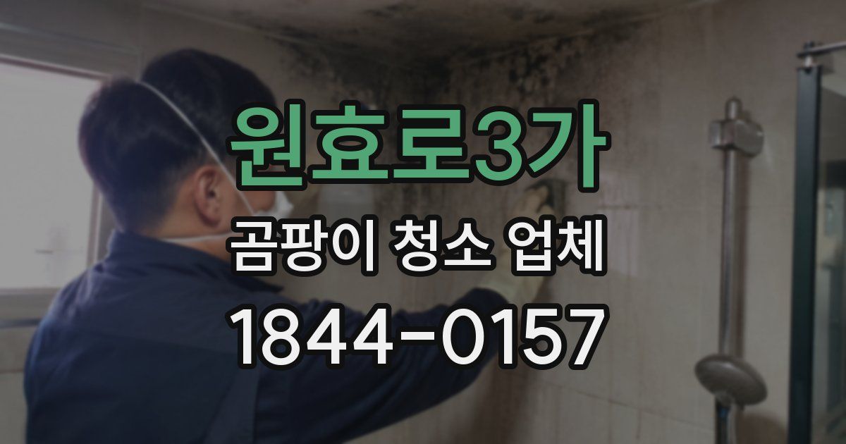 원효로3가 곰팡이 청소 업체