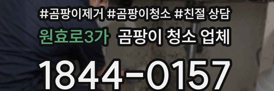 원효로3가 곰팡이 청소 업체