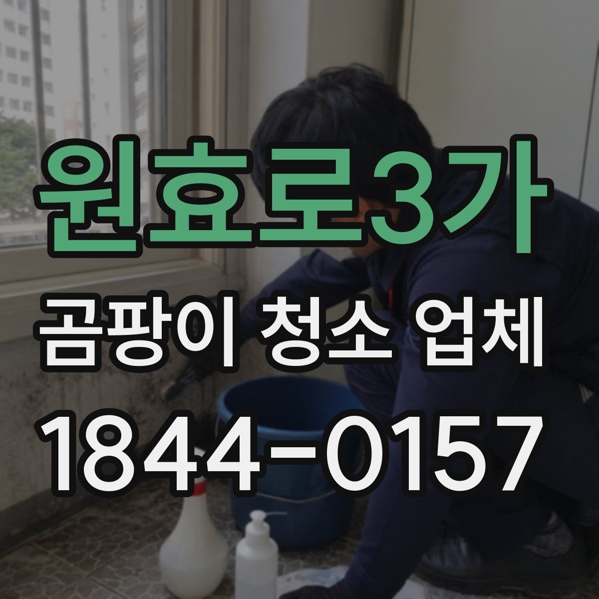 원효로3가 곰팡이 청소 업체