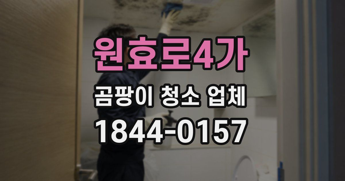 원효로4가 곰팡이 청소 업체
